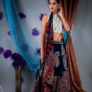Jaipur Cotton Mulmul Saree