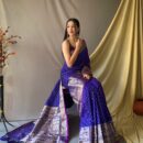 Banarasi Kadwa Silk Saree - Violet