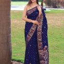 Banarasi Kadwa Silk Saree - Blue
