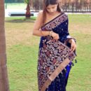 Banarasi Kadwa Silk Saree - Blue