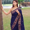 Banarasi Kadwa Silk Saree - Blue