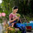 Banarasi Kadwa Pure Silk Saree  - Blue