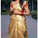 Banarasi Pure Silk Saree  - Gold