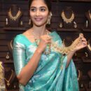 Banarasi Kadwa Pure Silk Saree  - Blue