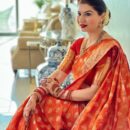 Banarasi Kadwa Pure Silk Saree - Orange