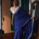 Pure Cotton Handloom Saree - Blue