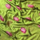 Mul Cotton Handloom Saree - Green
