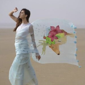 Mul Cotton Handloom Saree - Blue