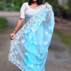 Murshidabad Chiffon Silk Saree - Blue