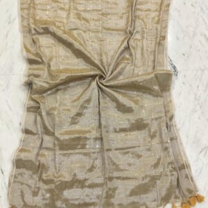 Raga Handloom Tissue Cotton Saree - Cream