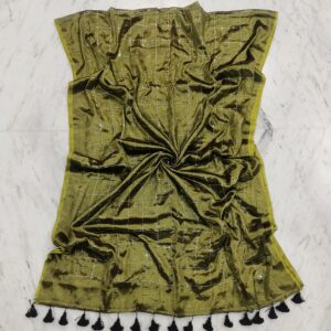 Raga Handloom Tissue Cotton Saree - Green