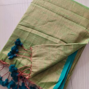 Handloom Tissue Cotton Saree - Green