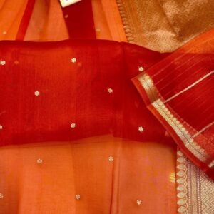 Pure Organza Silk Saree - Orange