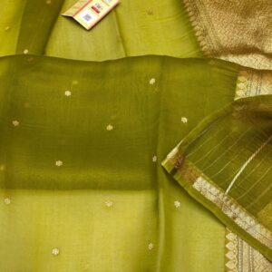 Pure Organza Silk Saree - Green