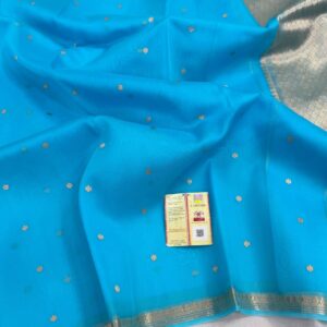 Pure Organza Silk Saree - Blue
