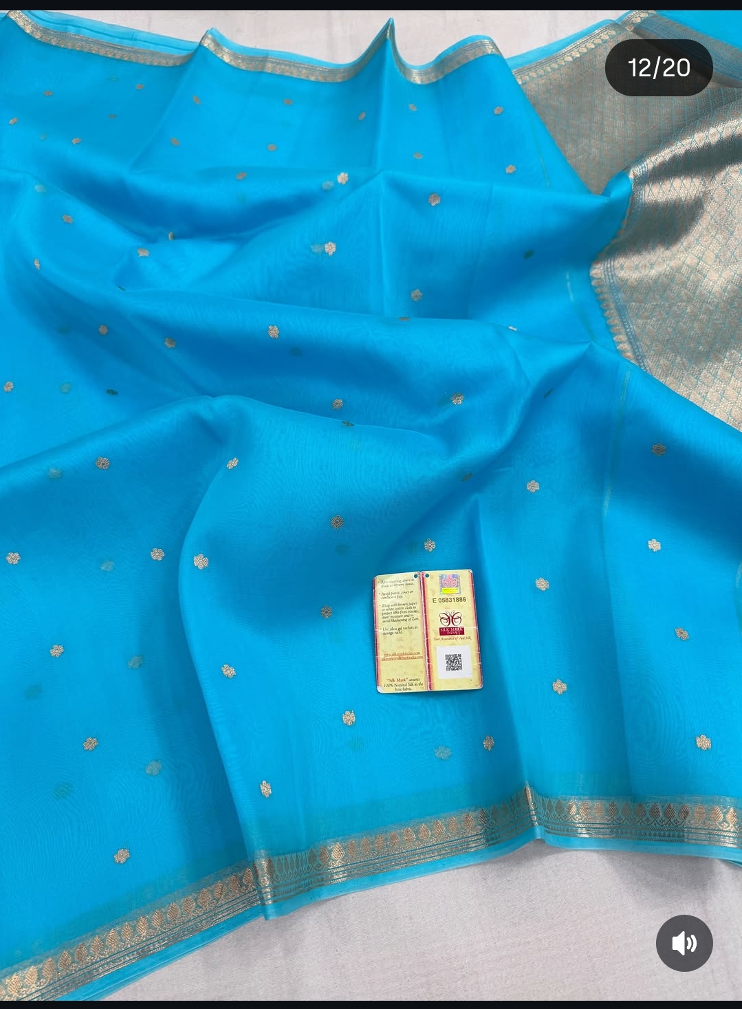 Pure Organza Silk Saree - Blue