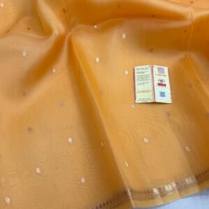 Pure Organza Silk Saree - Beige