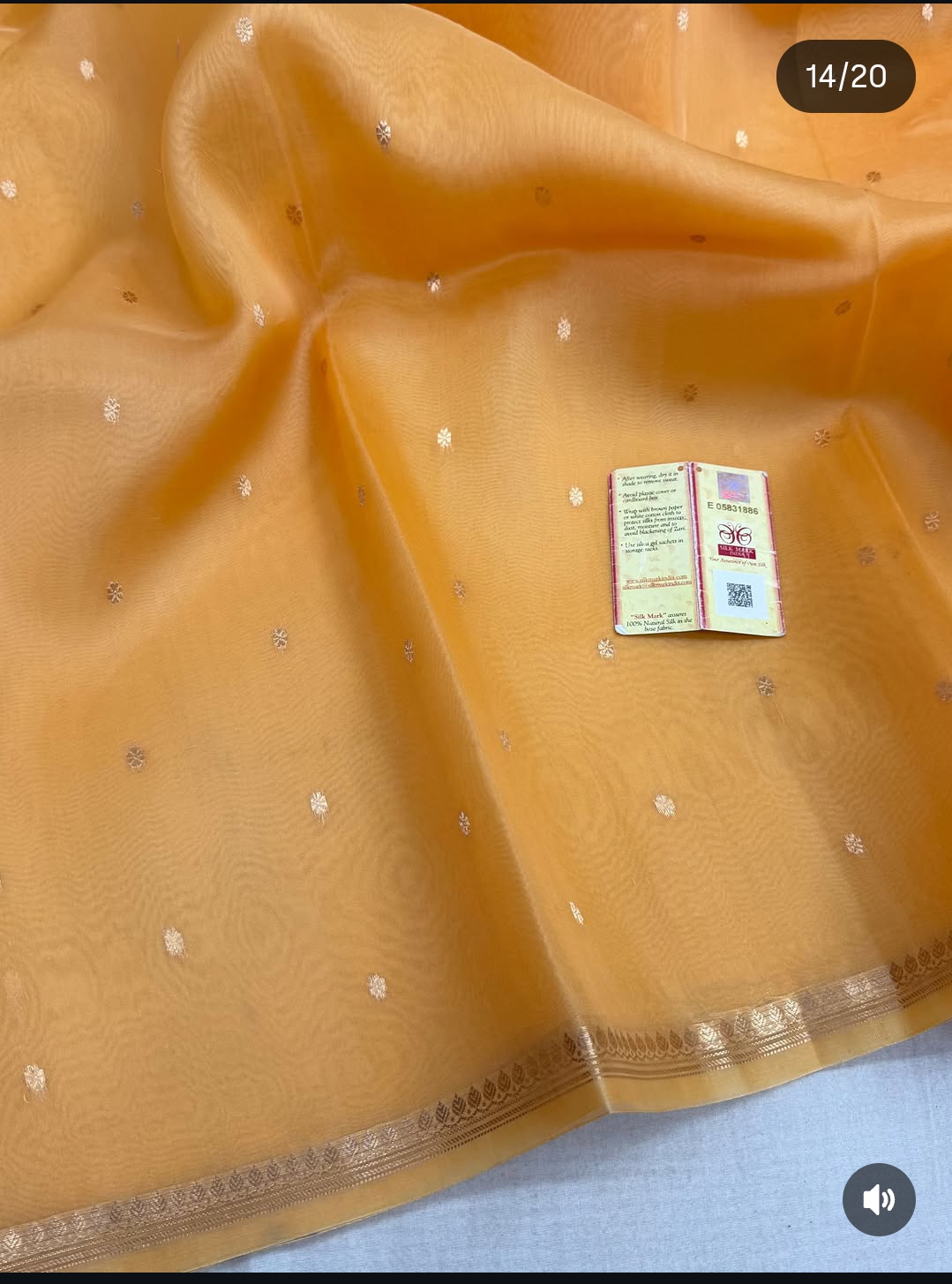 Pure Organza Silk Saree - Beige